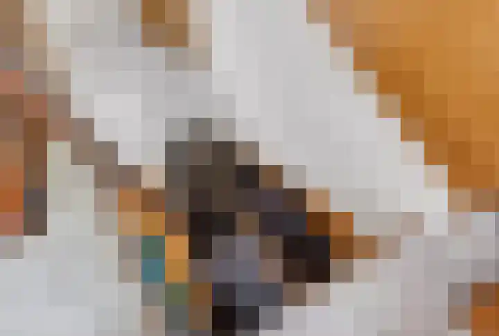 Busonilaan 19 Eindhoven thumbnail 44