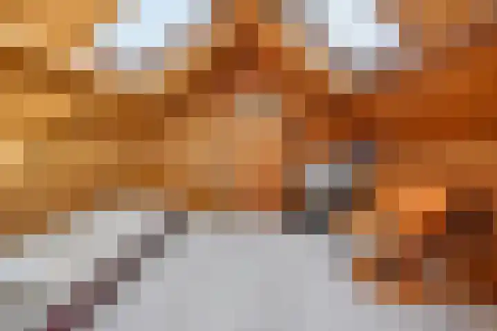 Busonilaan 19 Eindhoven thumbnail 45