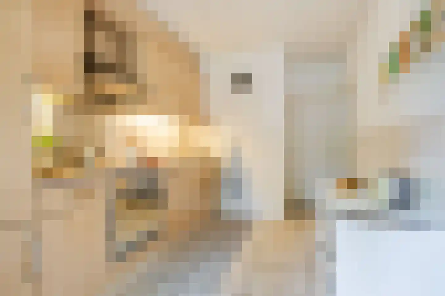Busonilaan 21 Eindhoven thumbnail 20