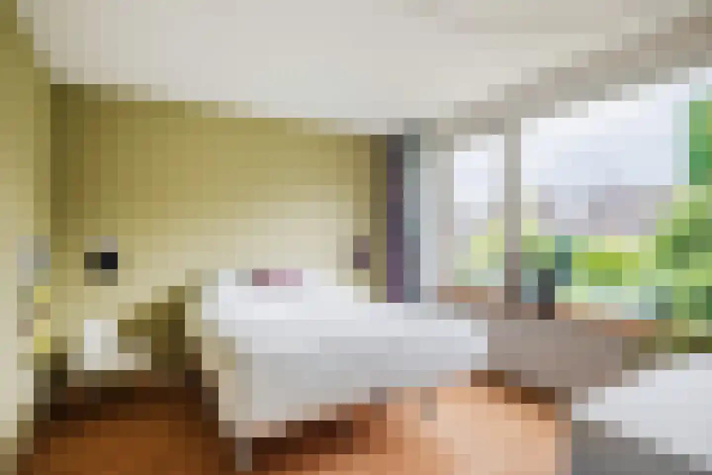 Busonilaan 21 Eindhoven thumbnail 22