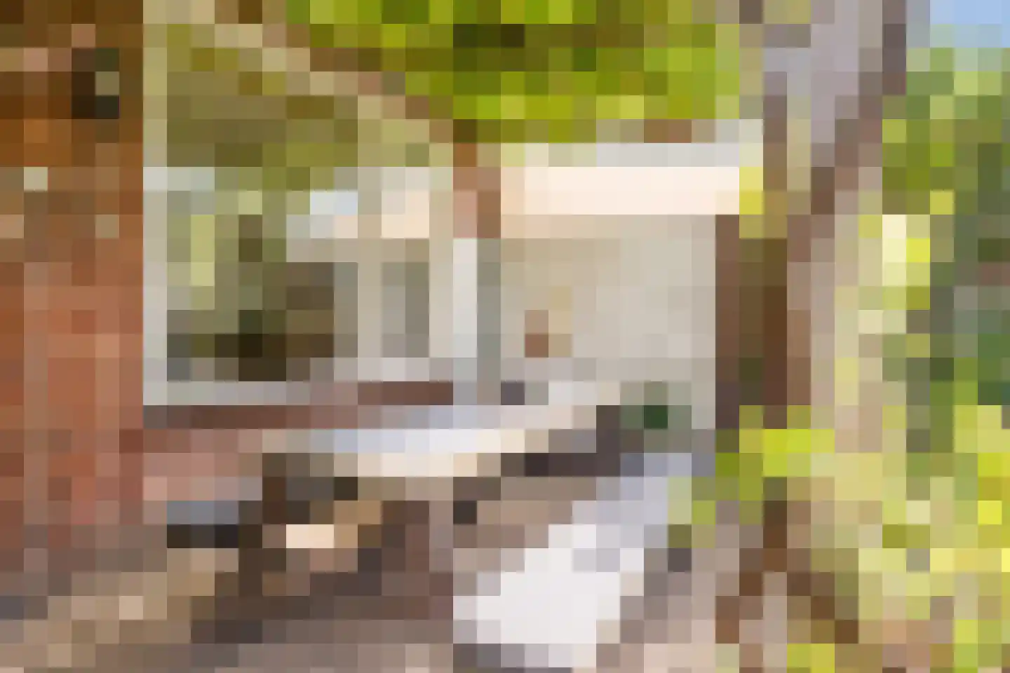 Busonilaan 21 Eindhoven thumbnail 34