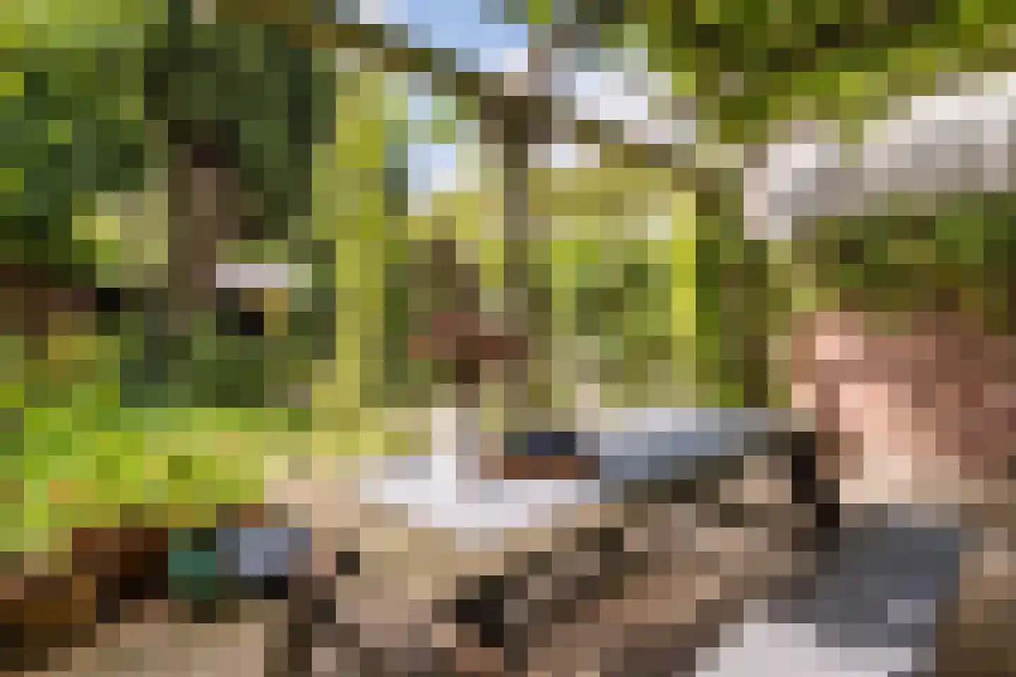 Busonilaan 21 Eindhoven thumbnail 35