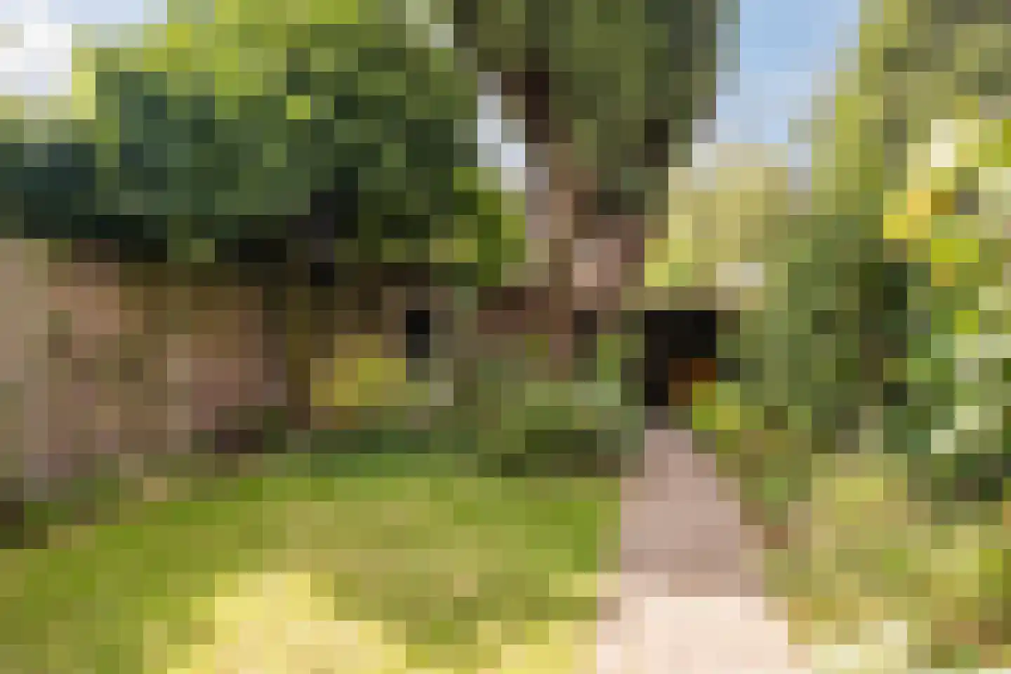 Busonilaan 21 Eindhoven thumbnail 37