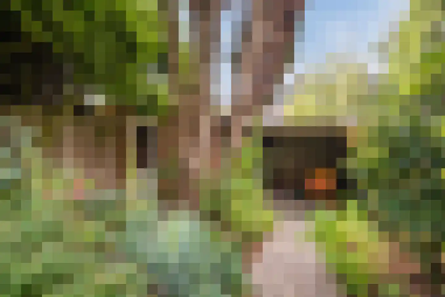 Busonilaan 21 Eindhoven thumbnail 38
