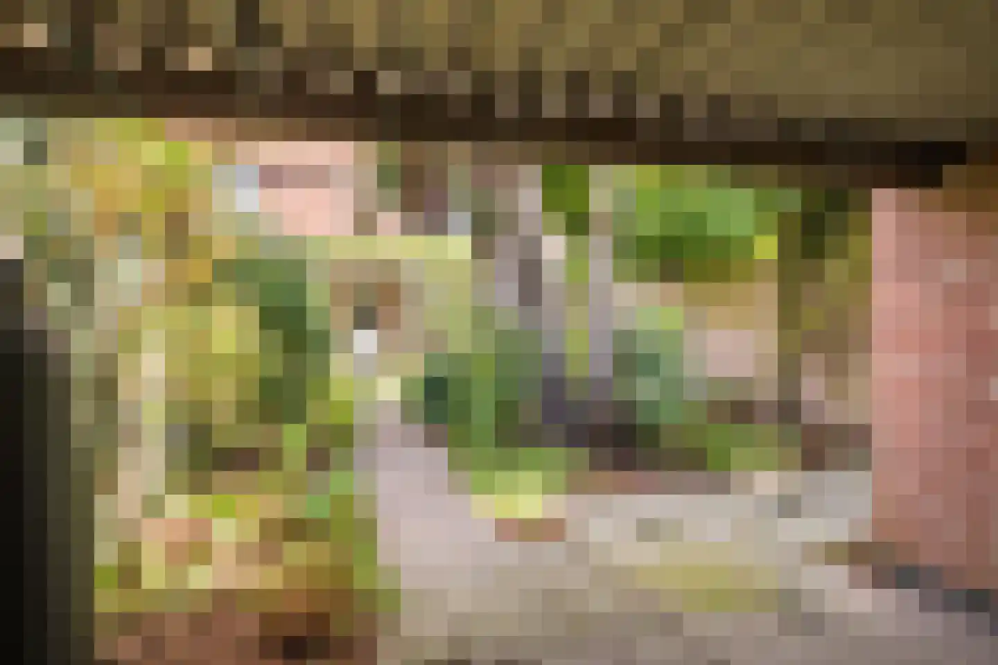 Busonilaan 21 Eindhoven thumbnail 39
