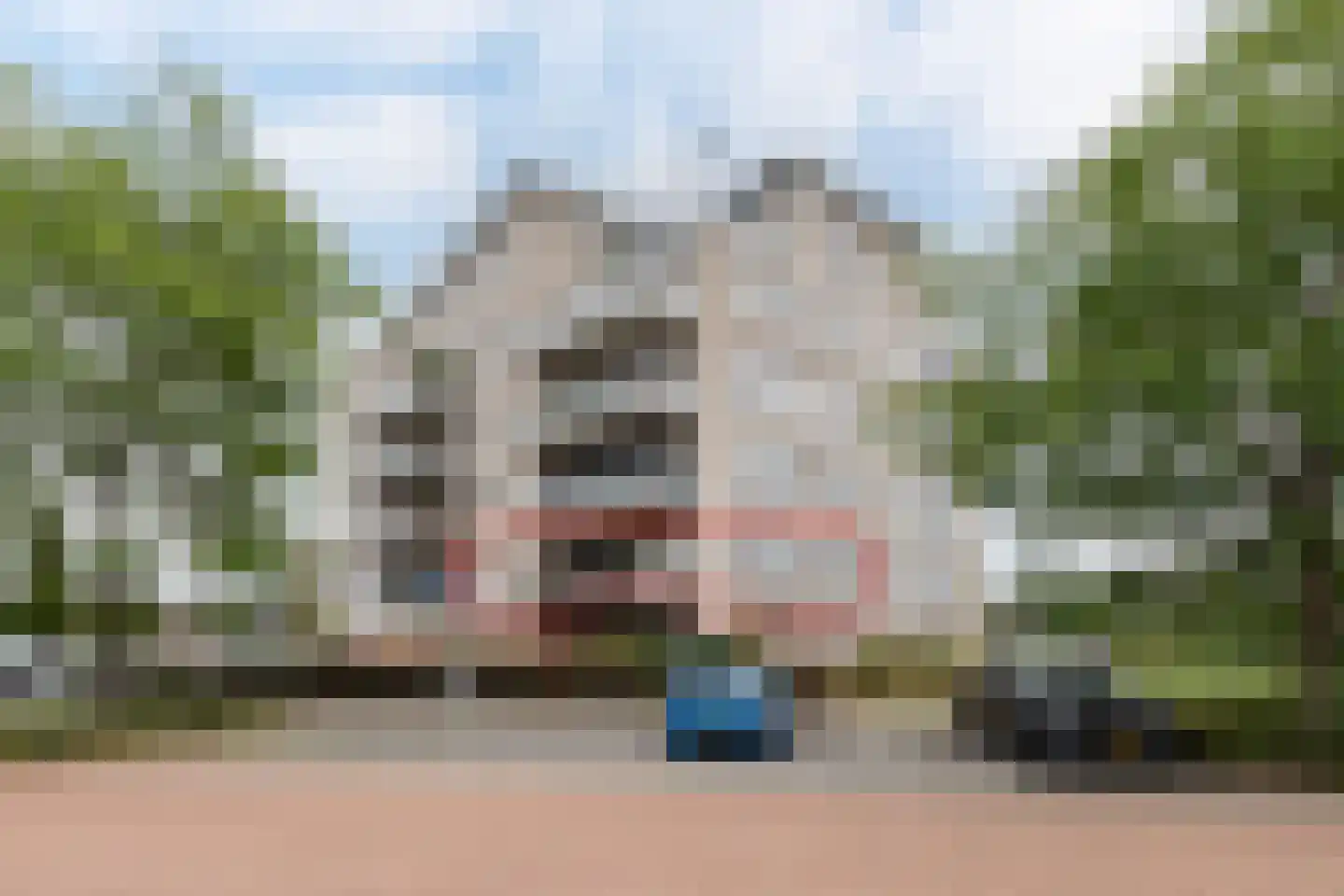 Busonisingel 10 Sliedrecht