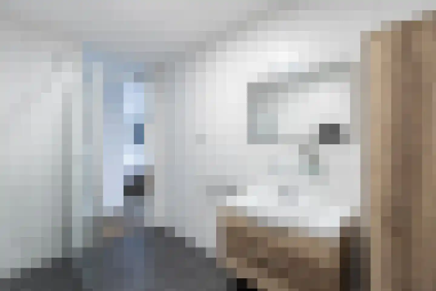 Busonisingel 10 Sliedrecht thumbnail 24