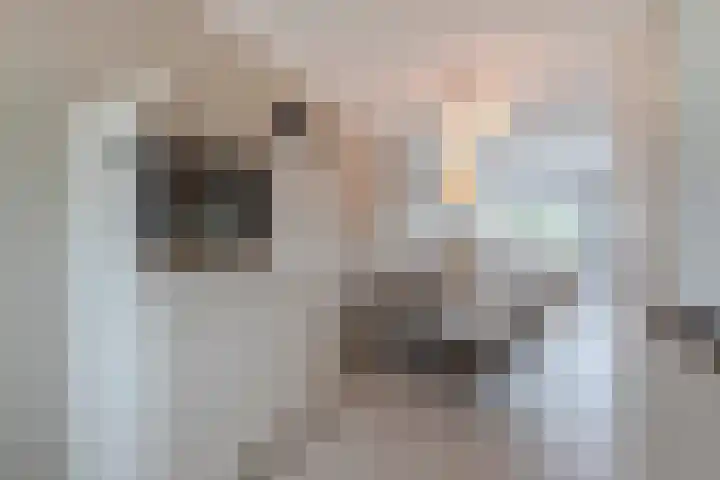 Busonisingel 5 Sliedrecht thumbnail 11
