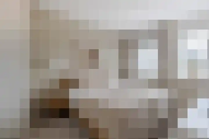 Busonisingel 5 Sliedrecht thumbnail 14