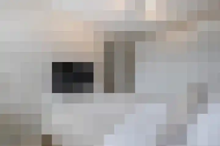 Busonisingel 5 Sliedrecht thumbnail 15