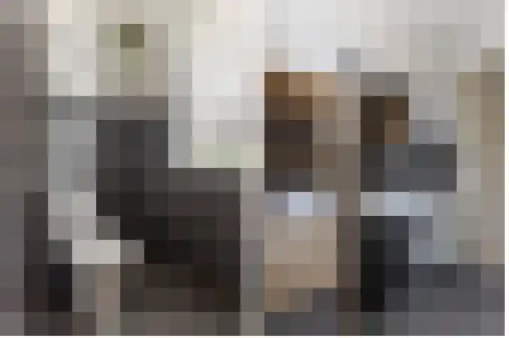 Busonisingel 5 Sliedrecht thumbnail 20