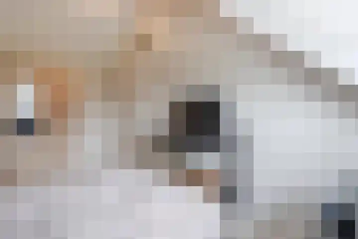 Busonisingel 5 Sliedrecht thumbnail 23