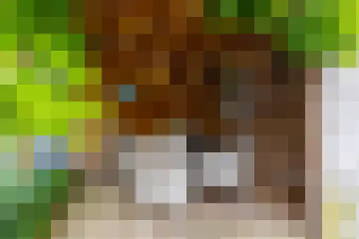 Busonisingel 5 Sliedrecht thumbnail 27