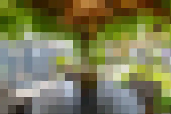 Busonisingel 5 Sliedrecht thumbnail 28