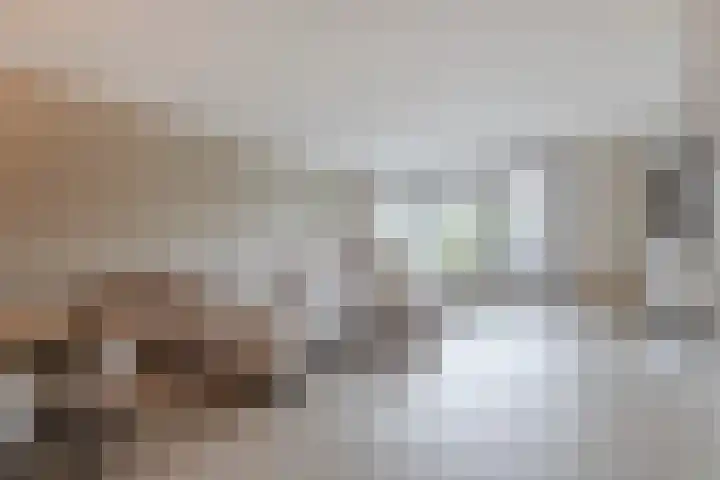Busonisingel 5 Sliedrecht foto 3