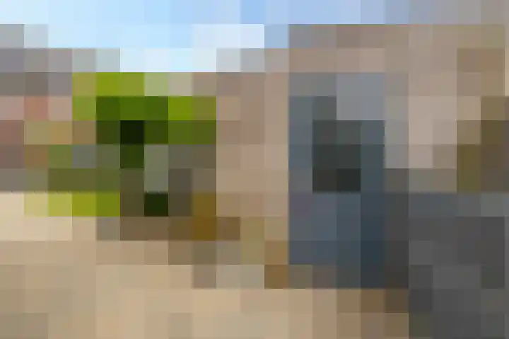 Busonisingel 5 Sliedrecht thumbnail 30