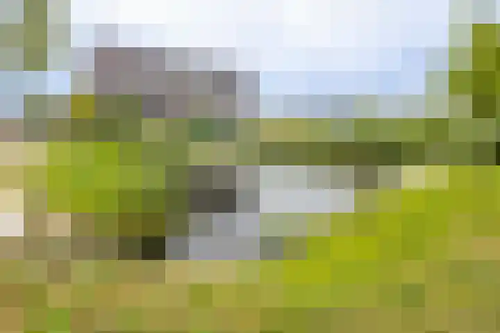 Busonisingel 5 Sliedrecht thumbnail 32