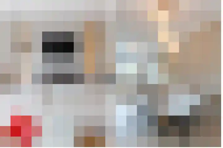 Busonisingel 5 Sliedrecht thumbnail 8