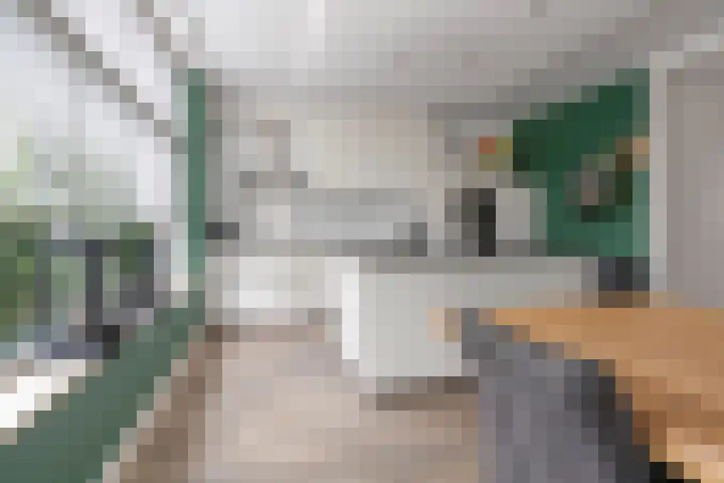 Busschieterslaan 20 Etten-Leur thumbnail 18
