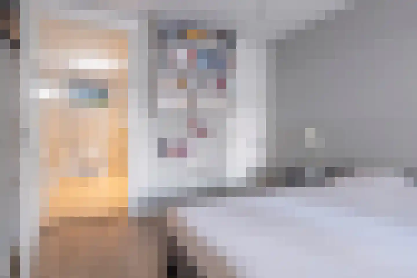 Busschieterslaan 20 Etten-Leur thumbnail 24