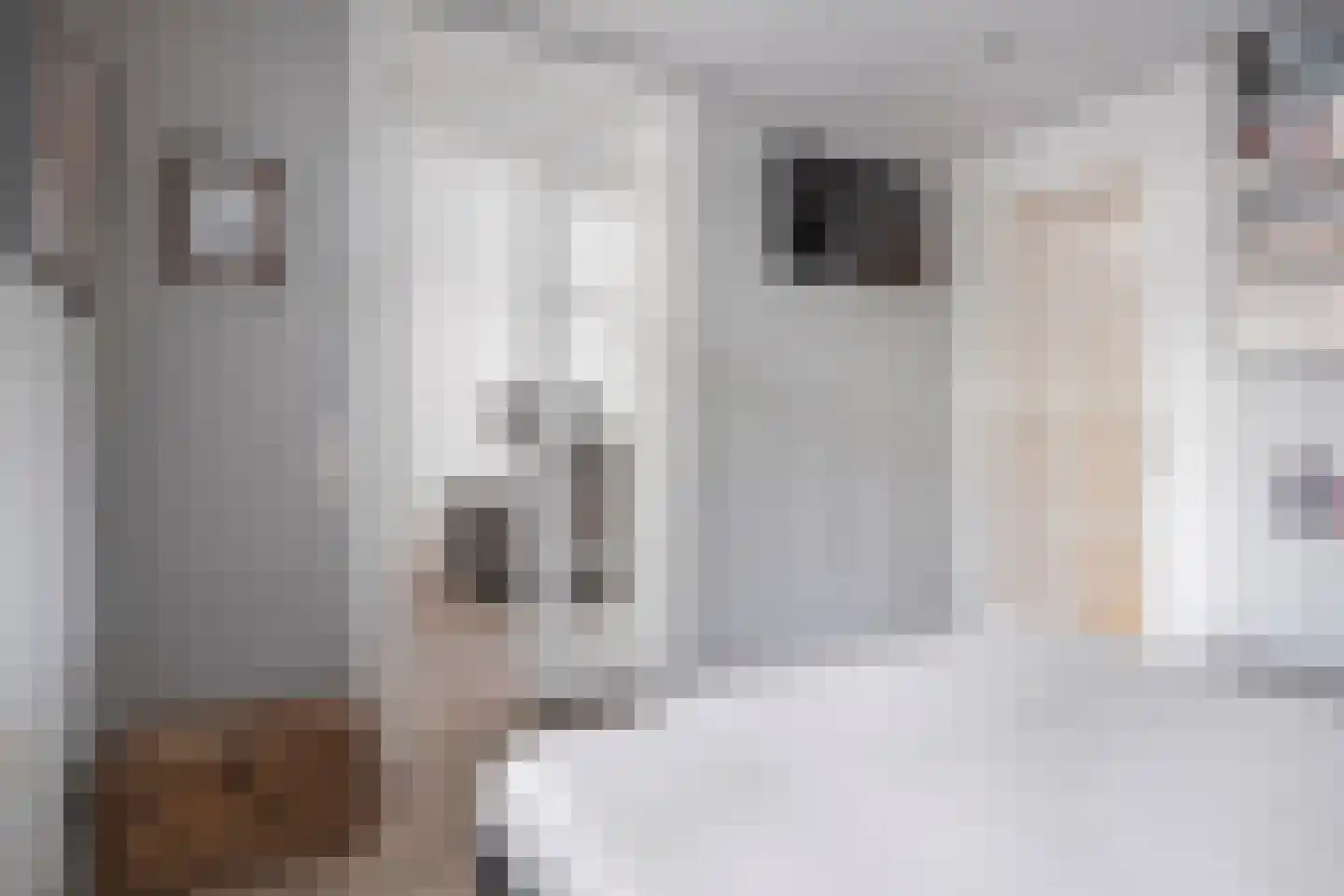 Busschieterslaan 20 Etten-Leur thumbnail 25