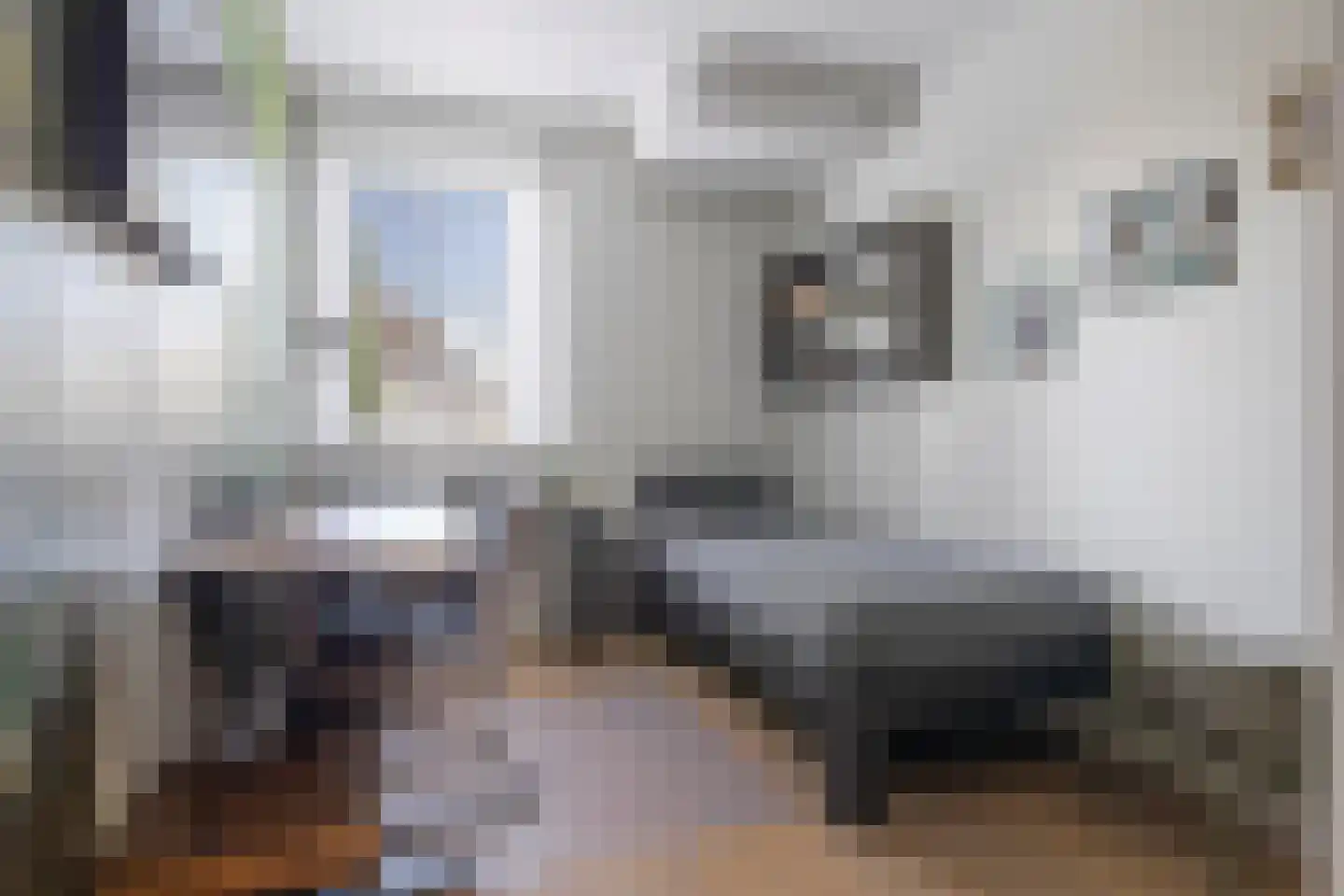 Busschieterslaan 20 Etten-Leur thumbnail 34