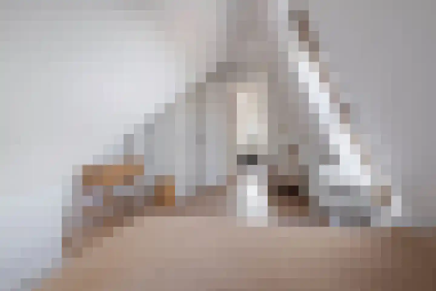 Busschieterslaan 20 Etten-Leur thumbnail 43