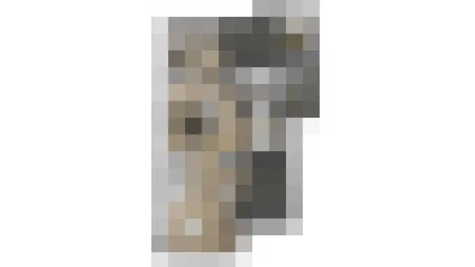 Busschieterslaan 20 Etten-Leur thumbnail 66