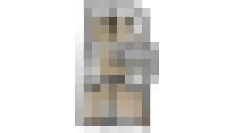 Busschieterslaan 20 Etten-Leur thumbnail 68