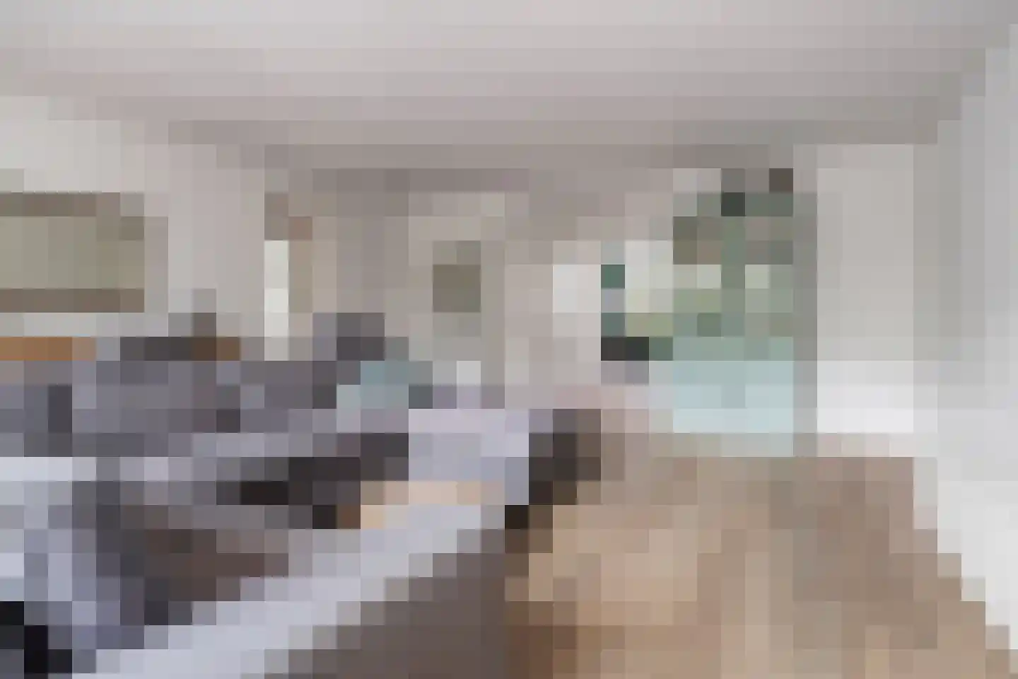 Busschieterslaan 20 Etten-Leur thumbnail 9