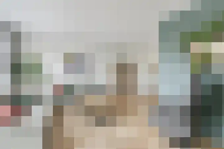 Busschieterslaan 4 Etten-Leur thumbnail 14