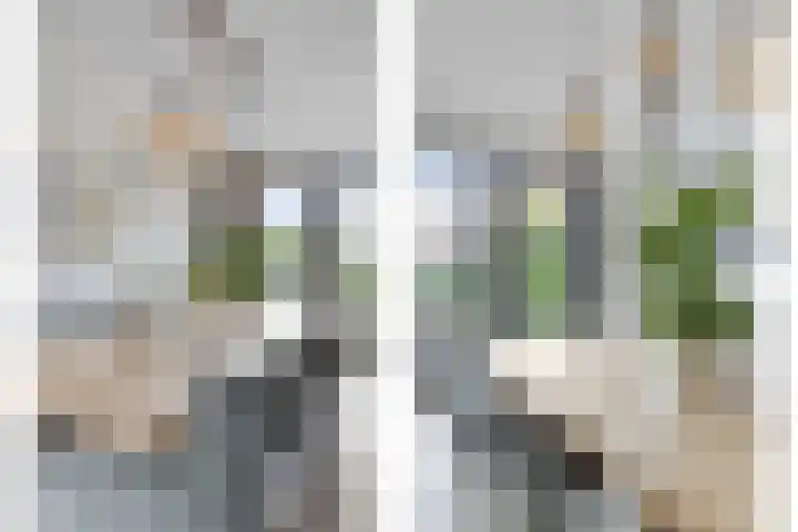 Busschieterslaan 4 Etten-Leur thumbnail 17