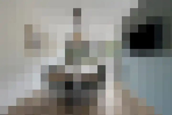 Busschieterslaan 4 Etten-Leur thumbnail 18