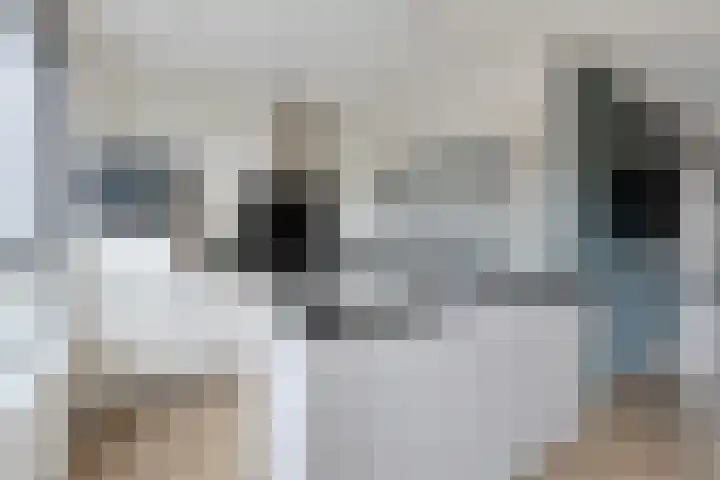 Busschieterslaan 4 Etten-Leur thumbnail 21