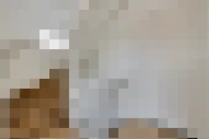 Busschieterslaan 4 Etten-Leur thumbnail 24