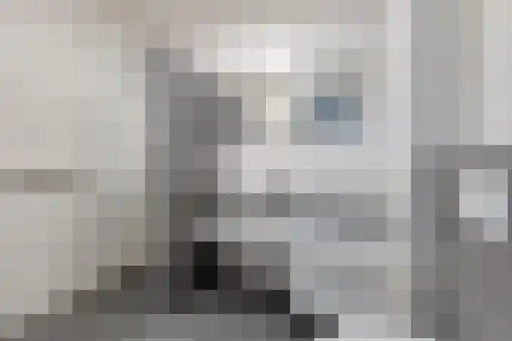 Busschieterslaan 4 Etten-Leur thumbnail 28