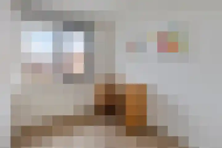 Busschieterslaan 4 Etten-Leur thumbnail 31