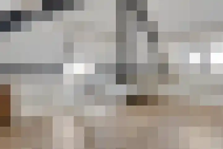 Busschieterslaan 4 Etten-Leur thumbnail 32