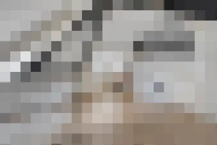 Busschieterslaan 4 Etten-Leur thumbnail 33