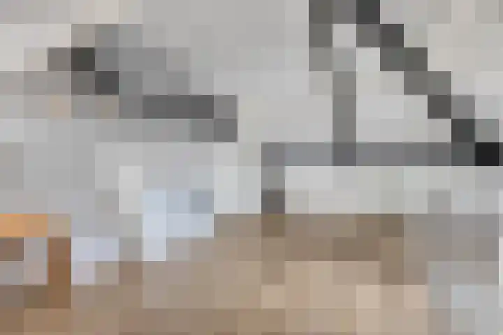 Busschieterslaan 4 Etten-Leur thumbnail 34