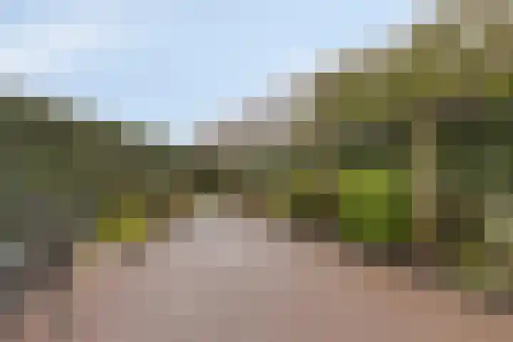 Busschieterslaan 4 Etten-Leur thumbnail 36