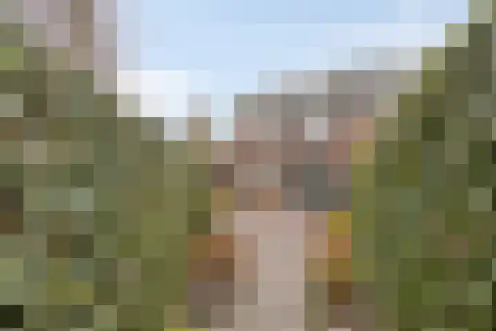 Busschieterslaan 4 Etten-Leur thumbnail 37