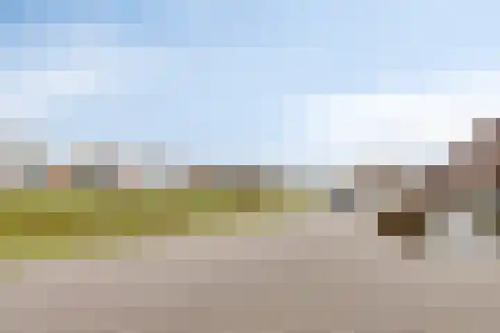 Busschieterslaan 4 Etten-Leur thumbnail 40