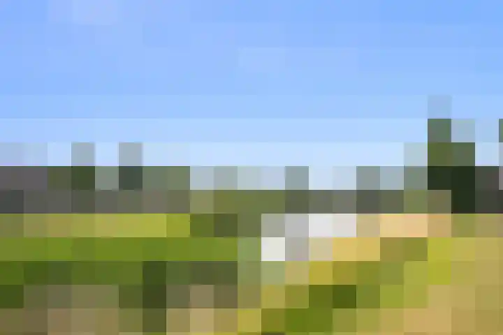 Busschieterslaan 4 Etten-Leur thumbnail 41