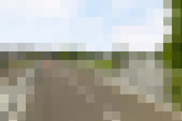 Busschieterslaan 4 Etten-Leur thumbnail 42