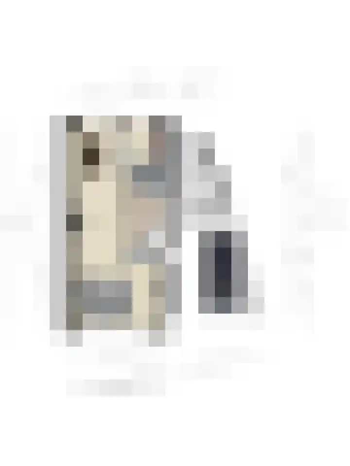 Busschieterslaan 4 Etten-Leur thumbnail 46