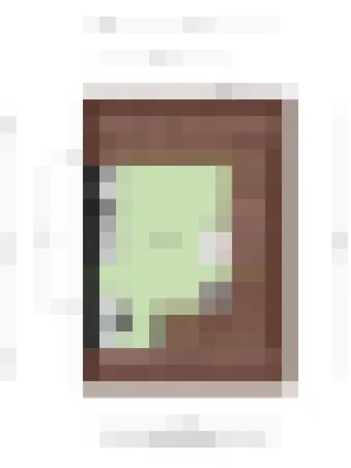 Busschieterslaan 4 Etten-Leur thumbnail 48