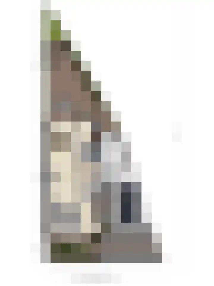 Busschieterslaan 4 Etten-Leur thumbnail 49