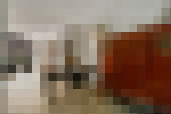 Busschuttenpoort 13 B 10 Maastricht thumbnail 16
