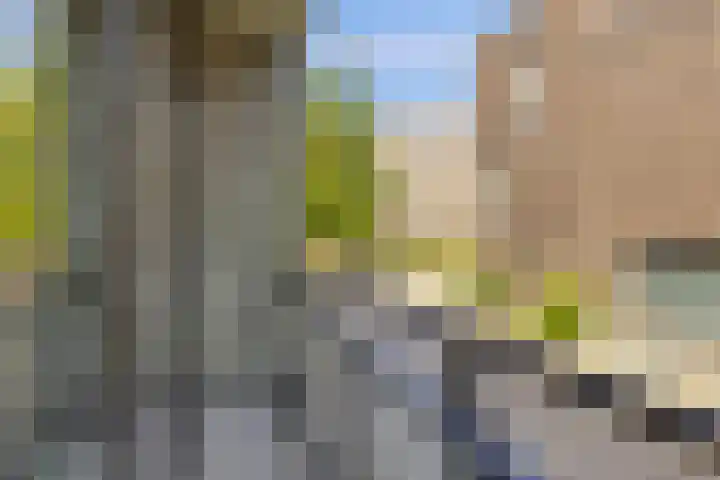 Busschuttenpoort 13 B 10 Maastricht thumbnail 19